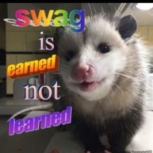 Meet your Posher, Oliver